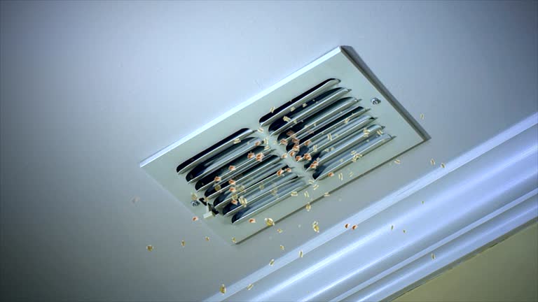 Best HVAC Maintenance and Cleaning  in Fort Mill, SC