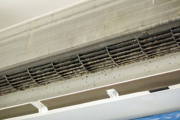 Best Professional Duct Cleaning Services  in Fort Mill, SC